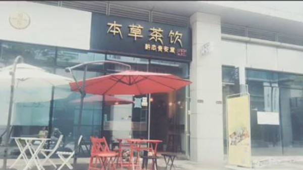 本草茶饮加盟